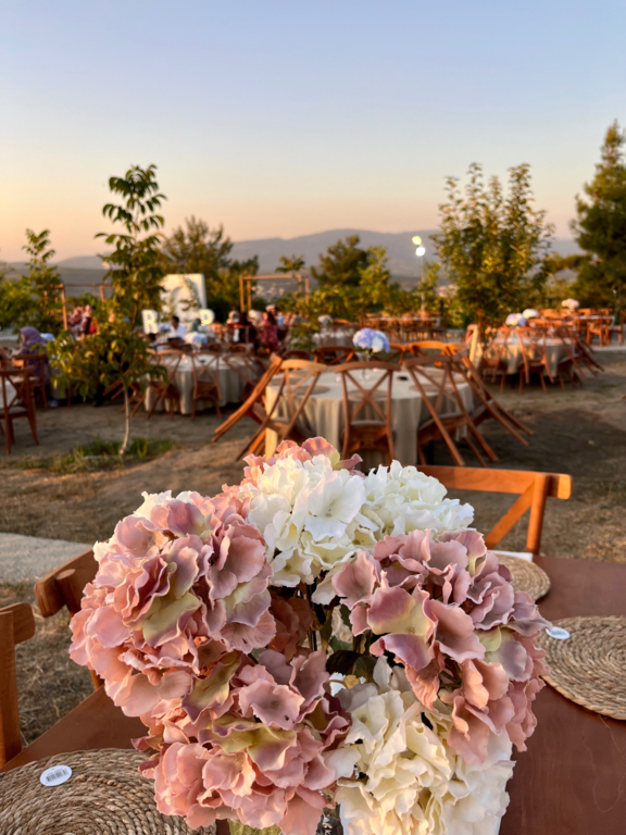 Selluka Concept Organizasyon