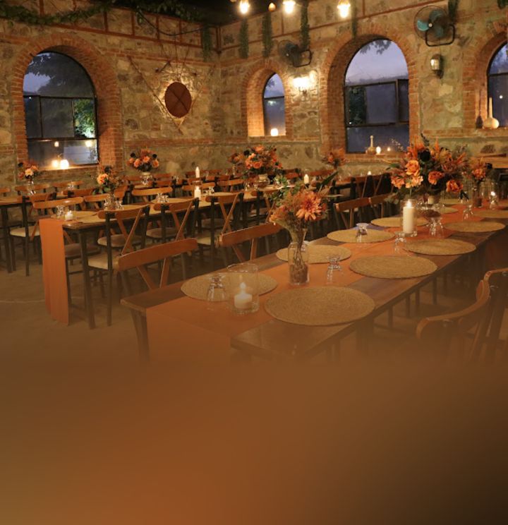 Toyhan / Bizim Bahçe