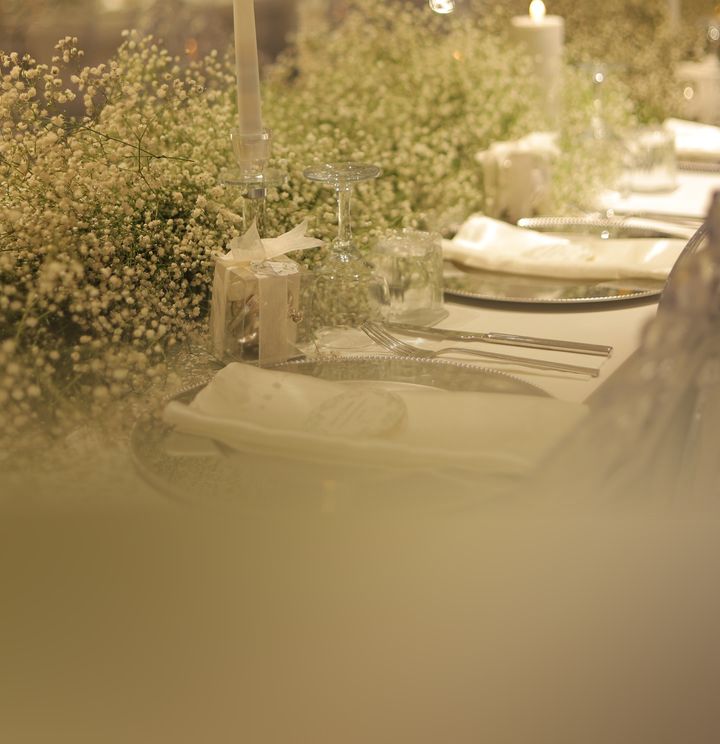 Bir Kelebek Masalı