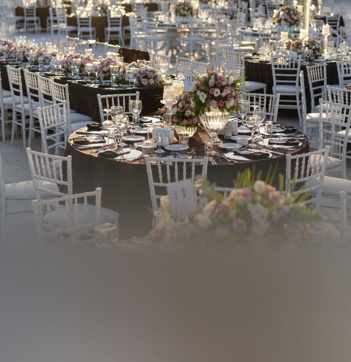 Özlem Cansever Event