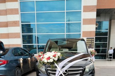 Forvip Transfer image