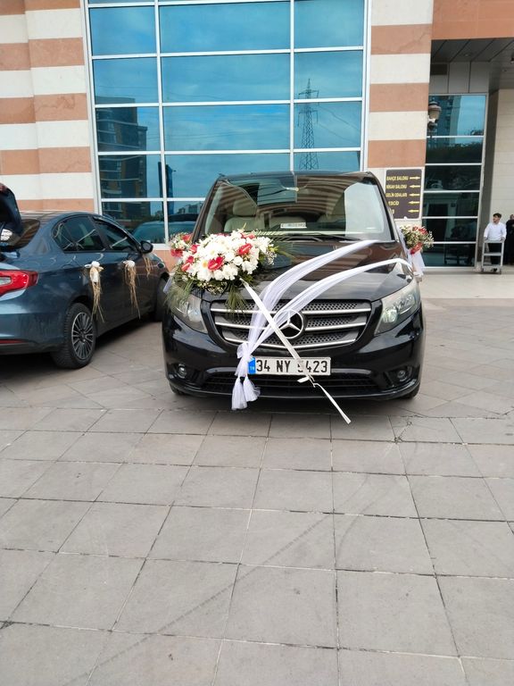Forvip Transfer - 2438335