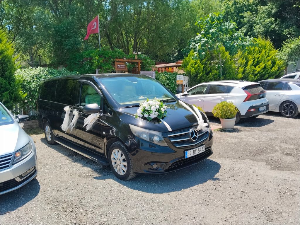 Forvip Transfer - 2537424