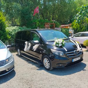 Forvip Transfer