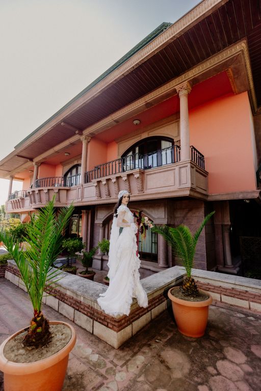 Fera Fotoğrafçılık - 2595501