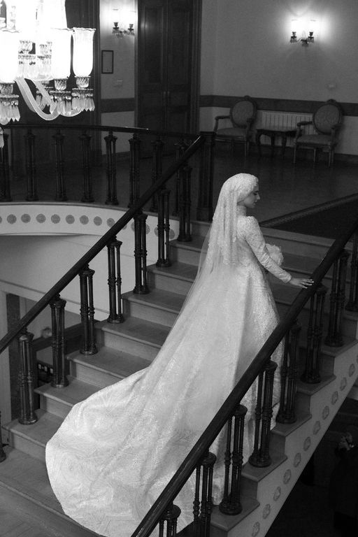 Fera Fotoğrafçılık - 2595475