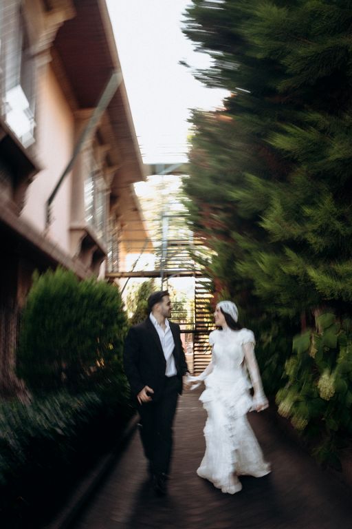 Fera Fotoğrafçılık - 2595479