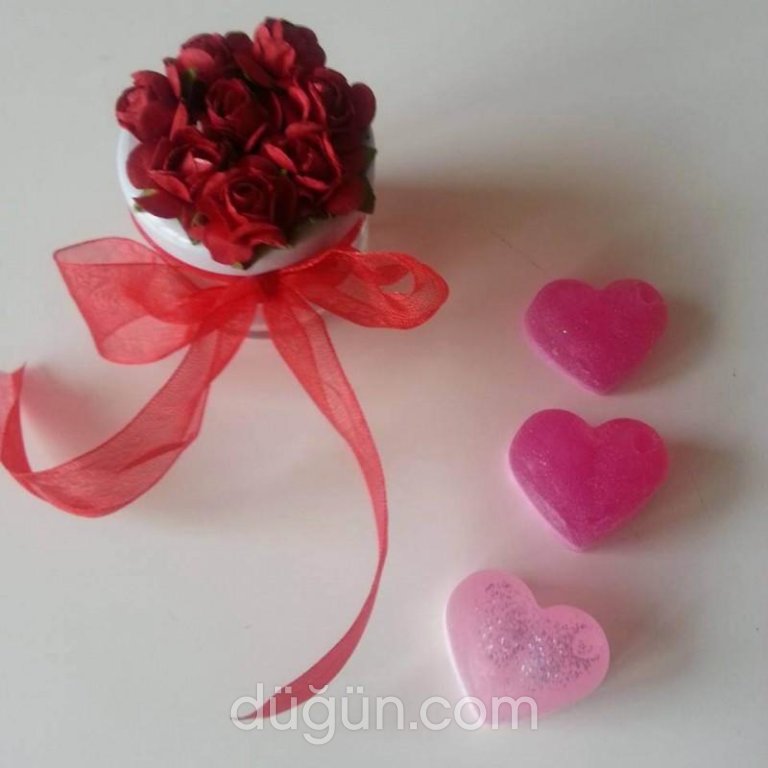 Meltem'in Gelin Dünyası