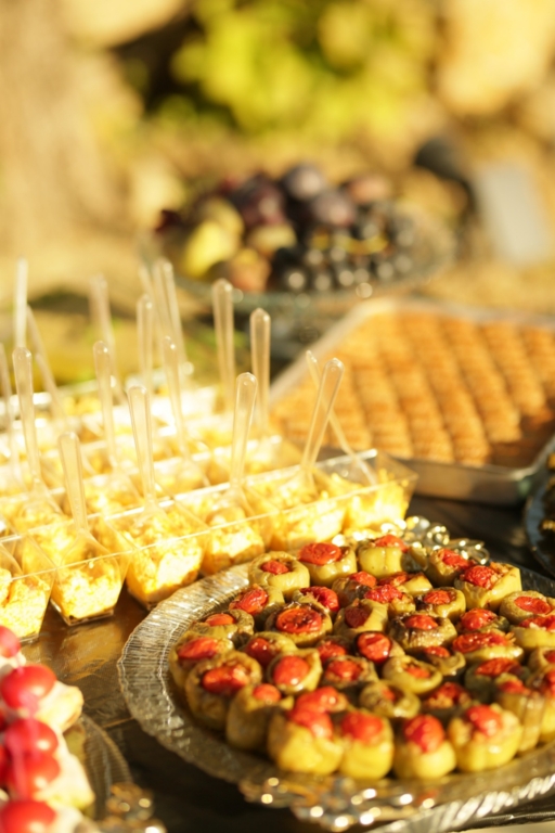 Su Organizasyon Catering