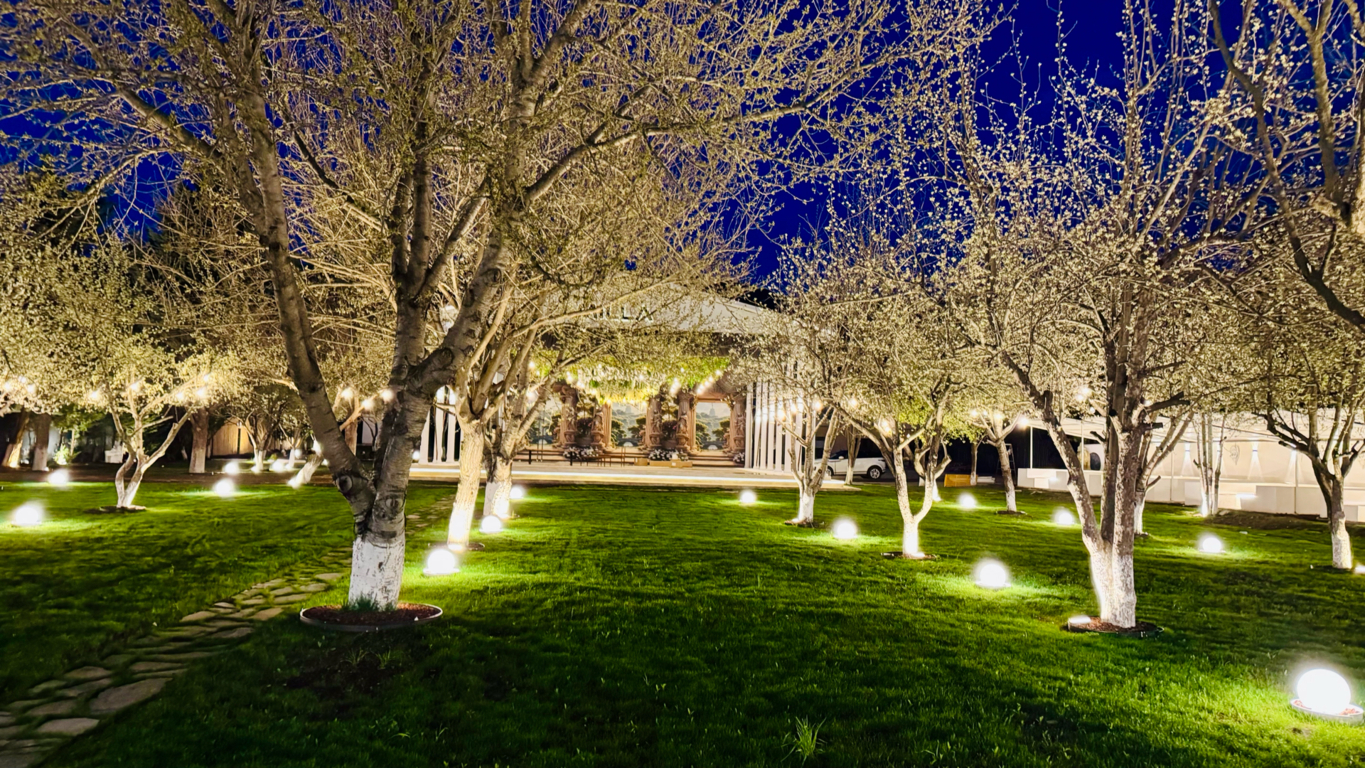 Milla Wedding Ankara