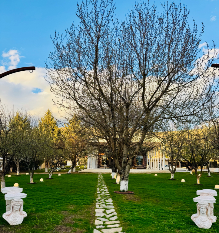 Milla Wedding Ankara