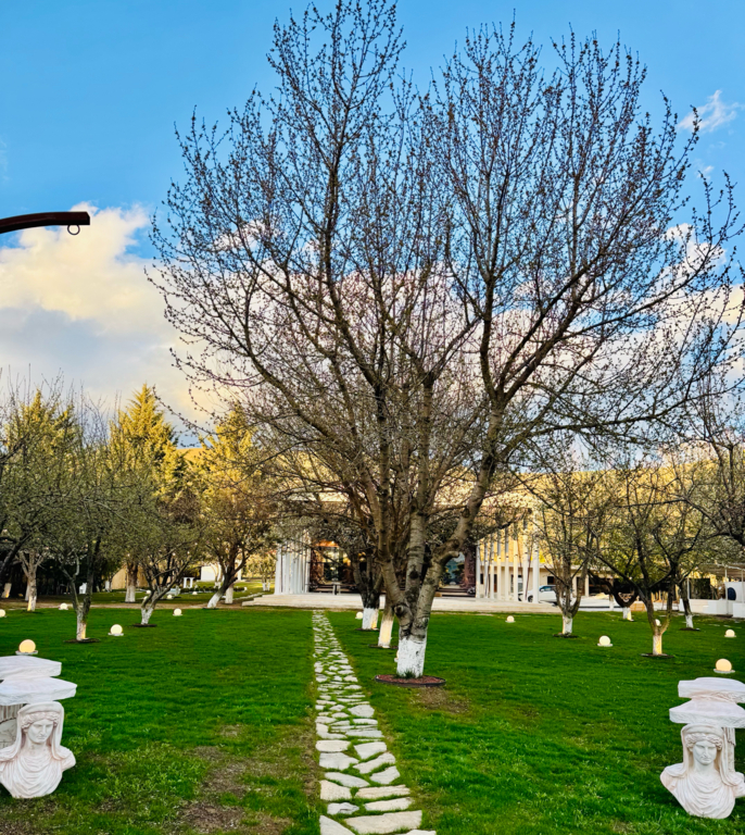 Milla Wedding Ankara