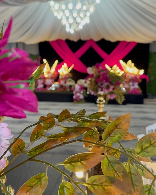 Nobel Dügün Kompleksi