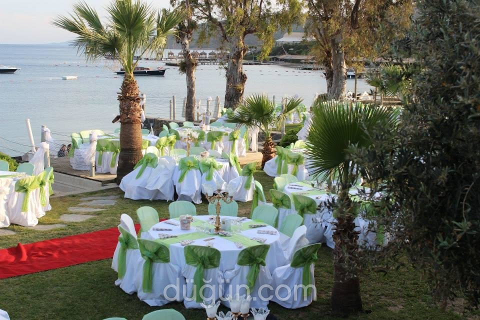 A'dan Z'ye Organizasyon