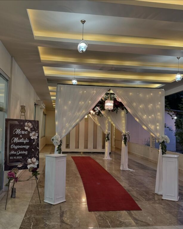 Alya Organizasyon