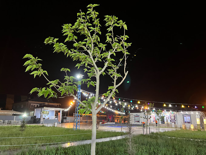 Boost Garden Kır Düğün Bahçesi