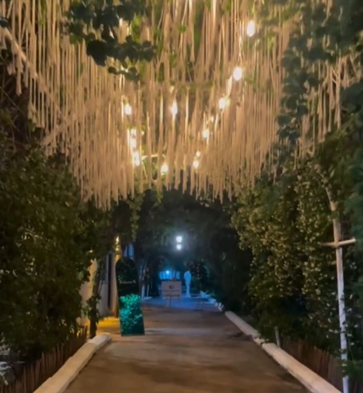 H&M Garden