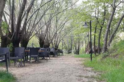 Açelya Bahçe Restaurant