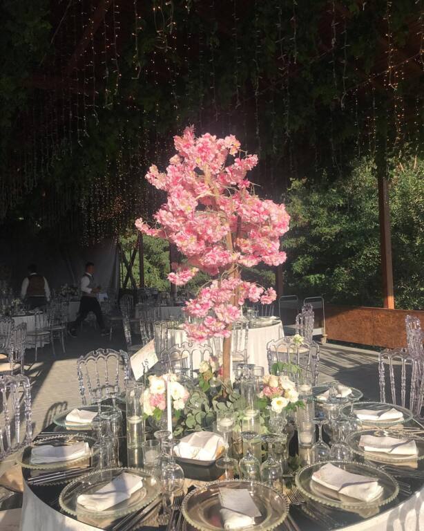 Altınkaya Arena Düğün Salonu