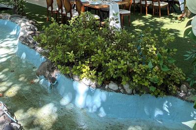 image-2546435