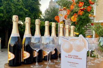 Shakeist Organizasyon