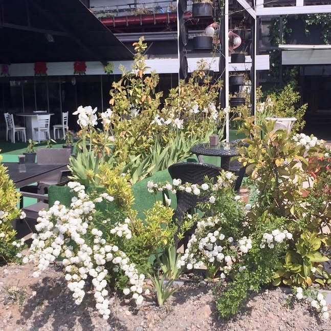 Akyol Düğün Salonu