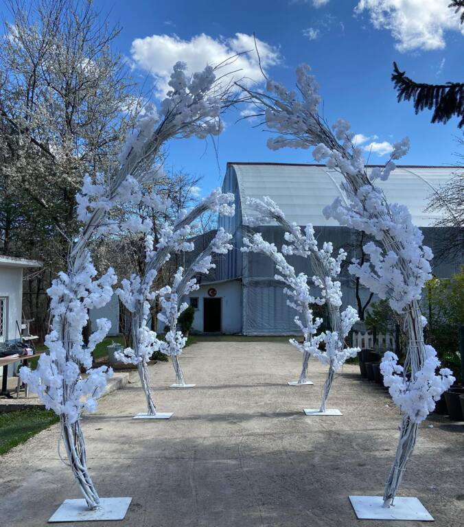 Aydınlar Düğün Salonu