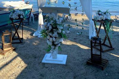 Fındık Organizasyon