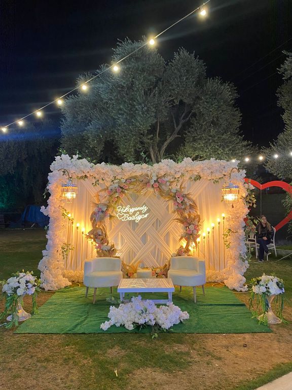 Fındık Organizasyon