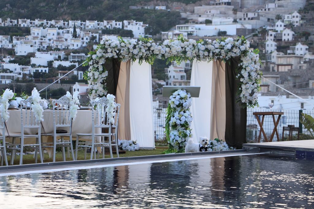 Fındık Organizasyon