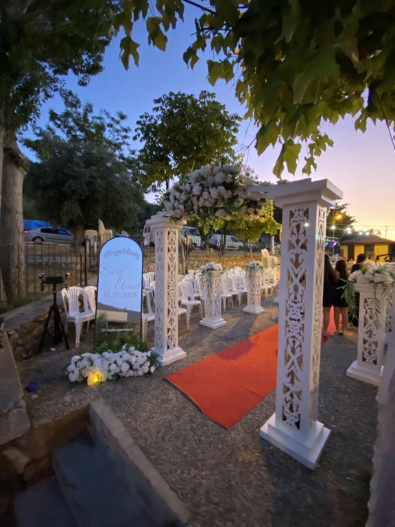 Fındık Organizasyon