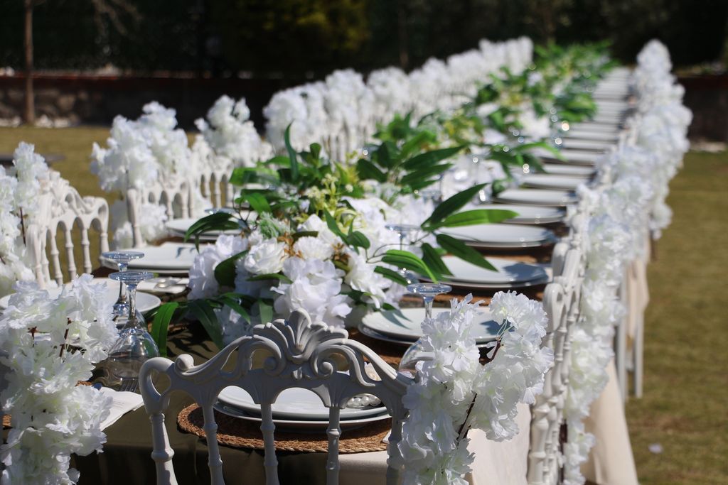 Fındık Organizasyon