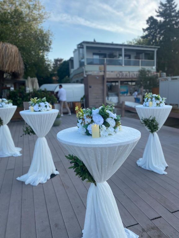 Fındık Organizasyon