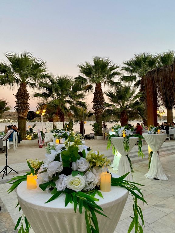 Fındık Organizasyon