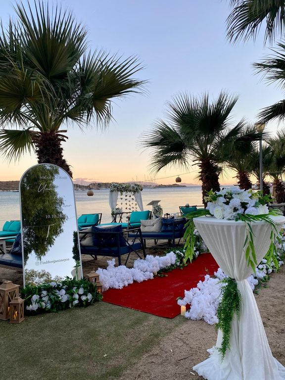 Fındık Organizasyon