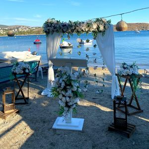 Fındık Organizasyon