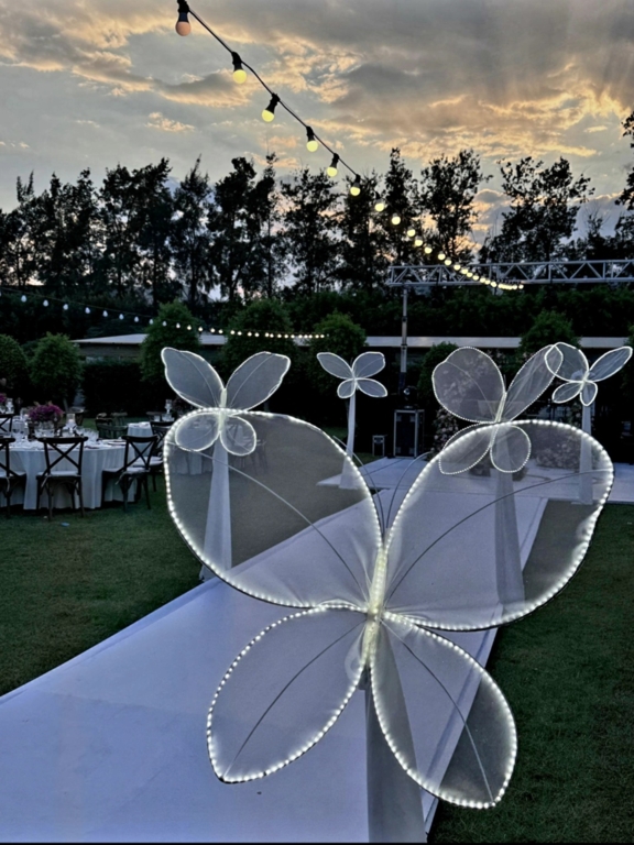 Zeliş Light Event