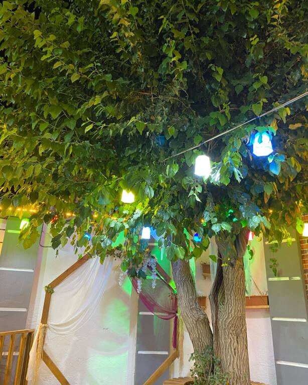 Bukan Kır Düğün Salonu