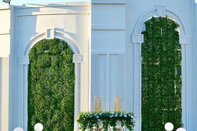 Diva Luxury Garden
