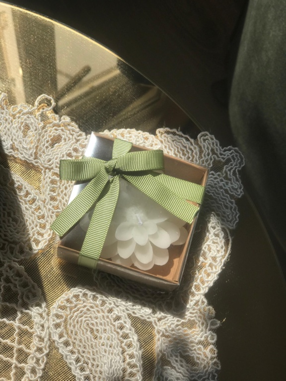 AfrodiVenus Organizasyon