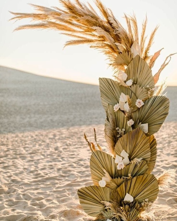 Aslan Organizasyon Van