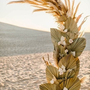 Aslan Organizasyon Van