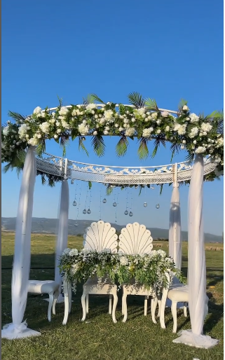 Z Ajans Organizasyon