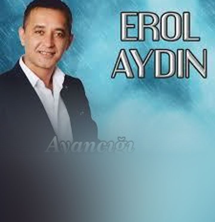 Sanatçı Erol Aydın