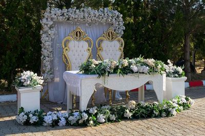 Elbistan Orkide Organizasyon