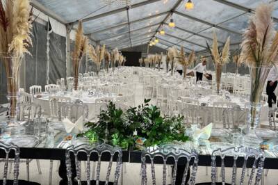 Rüya Organizasyon Düzce