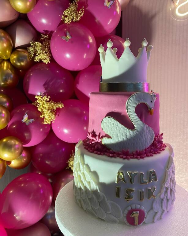 Çizgi Organizasyon Elazığ