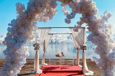 Jelybon Organizasyon