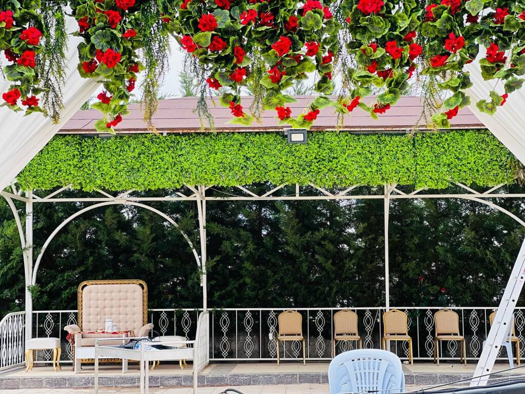 Jelybon Organizasyon