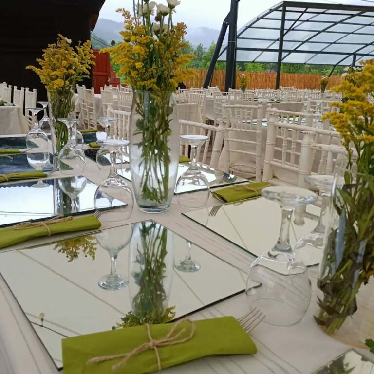 Vega Organizasyon Devrek